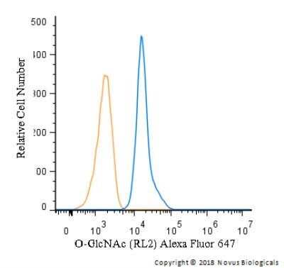 Flow Cytometry: O-GlcNAc Antibody (RL2) - Azide and BSA Free [NBP2-80892]