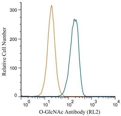 Flow Cytometry: O-GlcNAc Antibody (RL2) - Azide and BSA Free [NBP2-80892]
