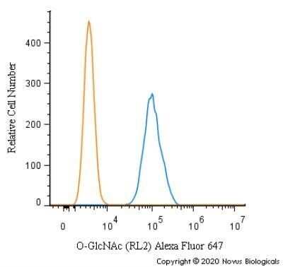 Flow (Intracellular): O-GlcNAc Antibody (RL2) - Azide and BSA Free [NBP2-80892]