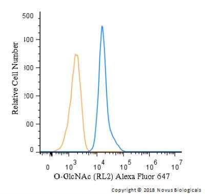Flow Cytometry: O-GlcNAc Antibody (RL2) - BSA Free [NB300-524]