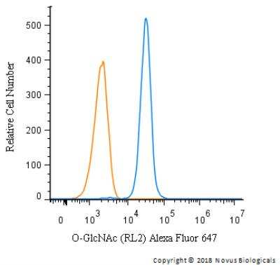 Flow Cytometry: O-GlcNAc Antibody (RL2) - BSA Free [NB300-524]