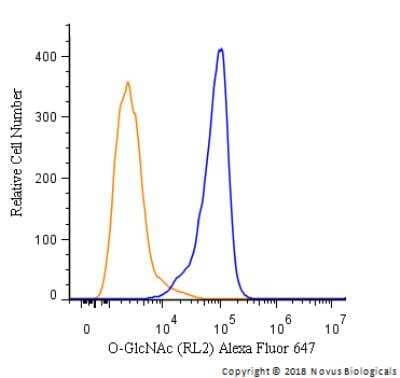 Flow Cytometry: O-GlcNAc Antibody (RL2) - BSA Free [NB300-524]