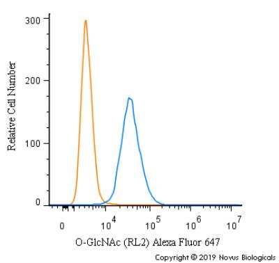 Flow Cytometry: O-GlcNAc Antibody (RL2) - BSA Free [NB300-524]