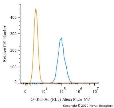 Flow Cytometry: O-GlcNAc Antibody (RL2) - BSA Free [NB300-524]