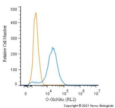 Flow Cytometry: O-GlcNAc Antibody (RL2) - BSA Free [NB300-524]