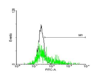 Flow Cytometry: OA1 Antibody [H00004935-B01P]