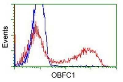 Flow Cytometry: OBFC1 Antibody (OTI2E4) - Azide and BSA Free [NBP2-73138]