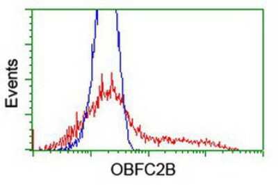 Flow Cytometry: OBFC2B Antibody (OTI1E11) [NBP2-01578]