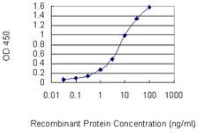 ELISA: OCIL/CLEC2d Antibody (4C7) [H00029121-M01]