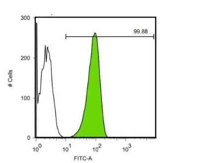 Flow Cytometry: OCT4 Antibody (486) [NBP2-15052]