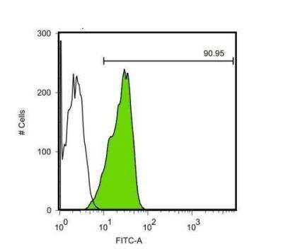 Flow Cytometry: OCT4 Antibody (735) [NBP2-15051]