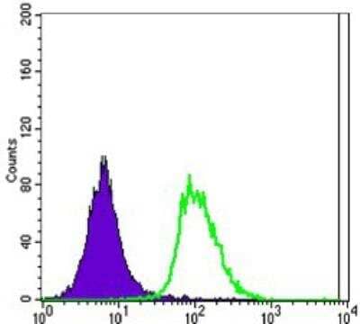 Flow Cytometry: OCT4 Antibody (7E7) [NBP1-51664]