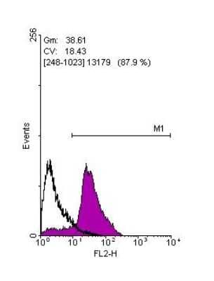 Flow Cytometry: OCT4 Antibody [NBP2-15053]