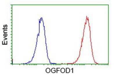 Flow Cytometry: OGFOD1 Antibody (OTI1D9) [NBP2-00528]