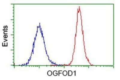Flow Cytometry: OGFOD1 Antibody (OTI1D9) - Azide and BSA Free [NBP2-73145]