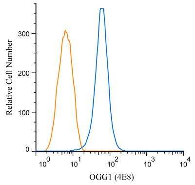 Flow (Intracellular): OGG1 Antibody (4E8) - BSA Free [NBP2-52722]