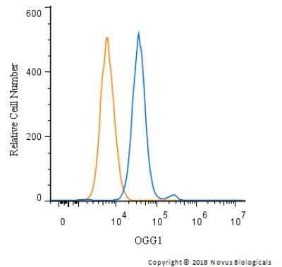 Flow Cytometry: OGG1 Antibody - BSA Free [NB100-106]