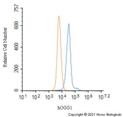 Flow Cytometry: OGG1 Antibody - BSA Free [NB100-106]