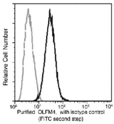 Flow Cytometry: OLFM4 Antibody (12) [NBP3-06415]