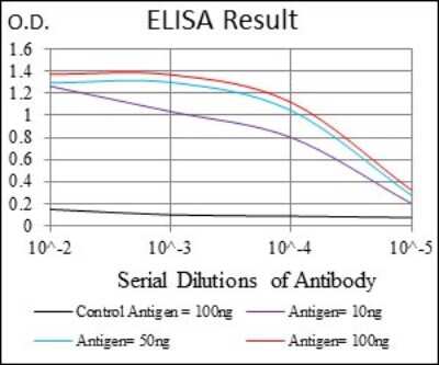 ELISA: ONECUT3 Antibody (10B2F5) - BSA Free [NBP2-37340]