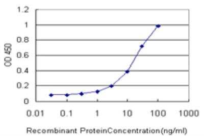 ELISA: ORC4L Antibody (2A8) [H00005000-M05]