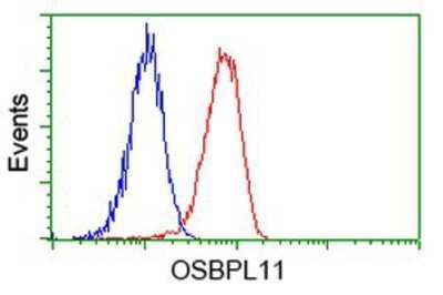 Flow Cytometry: OSBPL11 Antibody (OTI6A6) [NBP2-03327]