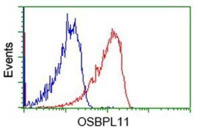Flow Cytometry: OSBPL11 Antibody (OTI6A6) - Azide and BSA Free [NBP2-73160]