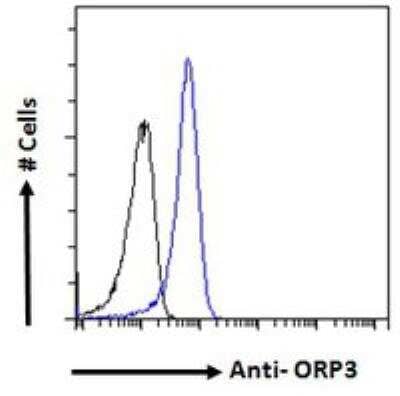 Flow Cytometry: OSBPL3 Antibody [NBP2-77443]