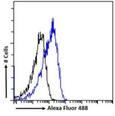 Flow Cytometry: OSBPL5 Antibody [NB100-57071]