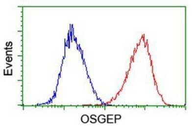 Flow Cytometry: OSGEP Antibody (OTI9E3) [NBP2-00823]