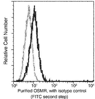 Flow Cytometry: OSMR beta Antibody (002) [NBP2-89850]