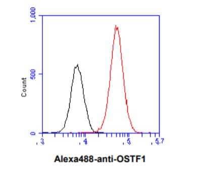 Flow Cytometry: OSTF1 Antibody (9G4) - BSA Free [NBP2-59396]