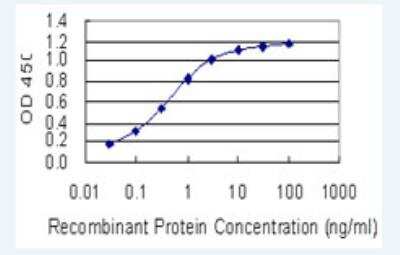 ELISA: OTP Antibody (8E12) [H00023440-M03-100ug]