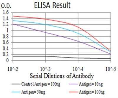 ELISA: OTUD4 Antibody (3B12G11) - BSA Free [NBP2-52525]