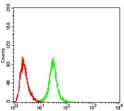 Flow Cytometry: OTUD4 Antibody (3B12G11) - BSA Free [NBP2-52525]