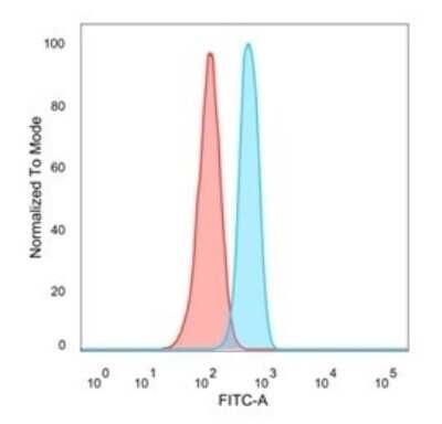 Flow Cytometry: OVOL2 Antibody (PCRP-OVOL2-2A1) - Azide and BSA Free [NBP3-08926]