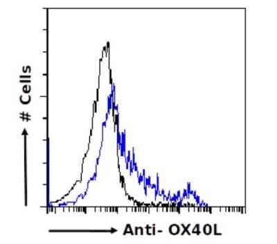 Flow Cytometry: OX40 Ligand/TNFSF4 Antibody (R4930 (Oxelumab)) - Chimeric - Azide and BSA Free [NBP2-52687]