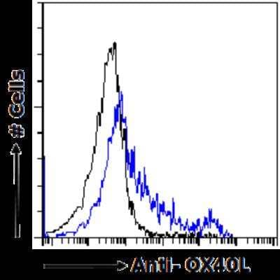 Flow Cytometry: OX40 Ligand/TNFSF4 Antibody (R4930 (Oxelumab)) - Azide and BSA Free [NBP2-75913]