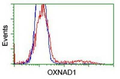 Flow Cytometry: OXNAD1 Antibody (OTI1D1) - Azide and BSA Free [NBP2-73175]