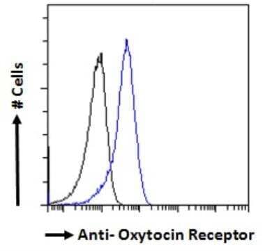 Flow Cytometry: OXTR Antibody [NBP2-76347]