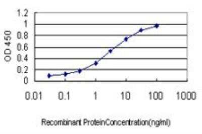 ELISA: Occludin Antibody (1G7) [H00004950-M01]