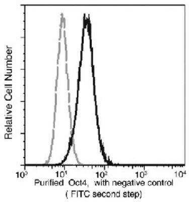 Flow Cytometry: Oct-4A Antibody (03) [NBP3-12775]