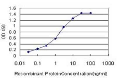 ELISA: Orexin R2/HCRTR2 Antibody (1E3) [H00003062-M01]
