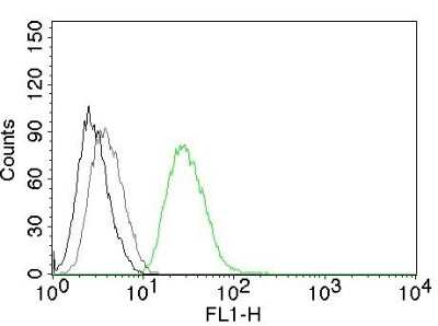 Flow Cytometry: Ornithine Decarboxylase Antibody (ODC1/485) - Azide and BSA Free [NBP2-34700]
