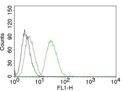 Flow Cytometry: Ornithine Decarboxylase Antibody (ODC1/485) [NBP2-32887]