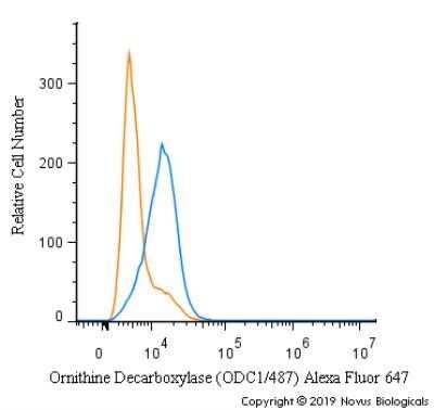 Flow Cytometry: Ornithine Decarboxylase Antibody (ODC1/487) [NBP2-44735]