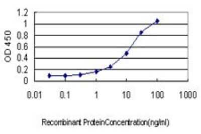 ELISA: Osteocalcin Antibody (2D4) [H00000632-M01]