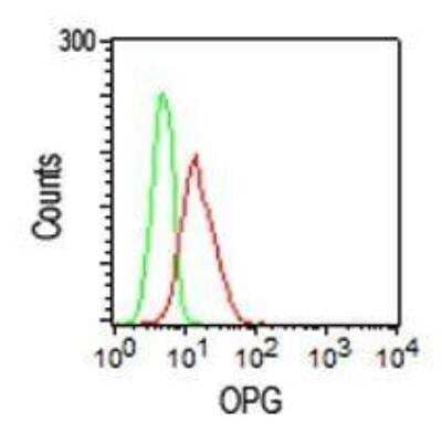 Flow Cytometry: Osteoprotegerin/TNFRSF11B Antibody (98A1071) - BSA Free [NB100-56505]
