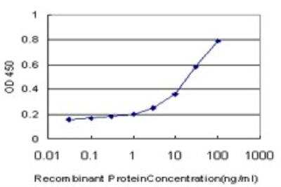 ELISA: Osterix/Sp7 Antibody (2G6) [H00121340-M01]