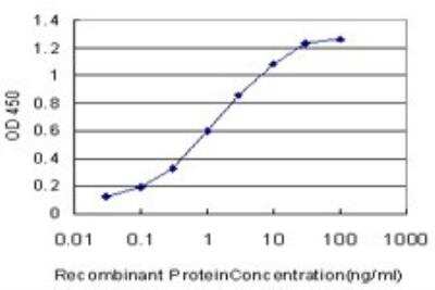 ELISA: Otx1 Antibody (1F2) [H00005013-M01]